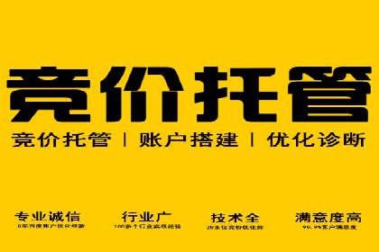 百度竞价代理的客户案例：如何实现ROI最大化